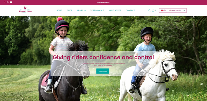 Balanced Support Reins website created by Shopify agency Stick Marketing