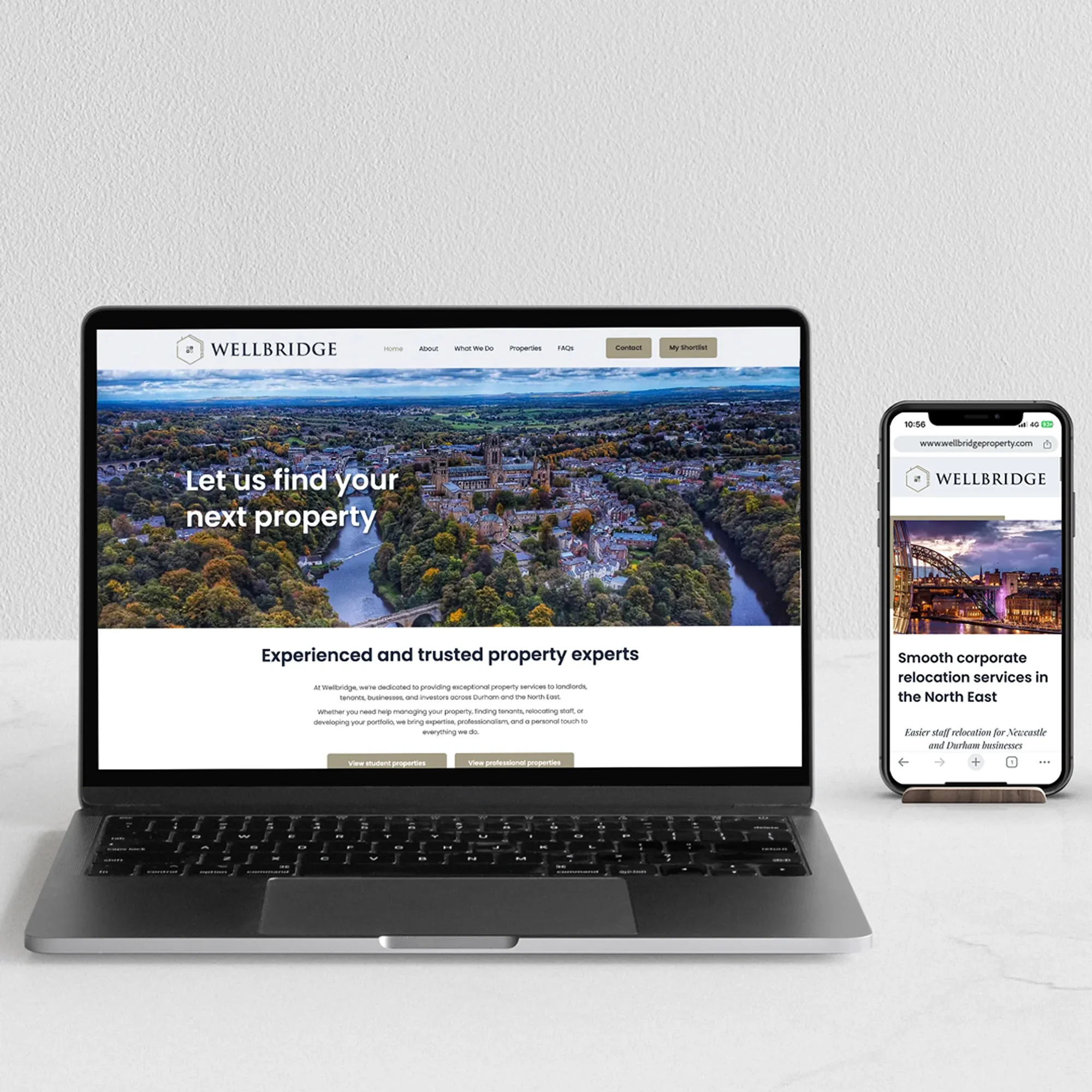 Wellbridge-Website-Design