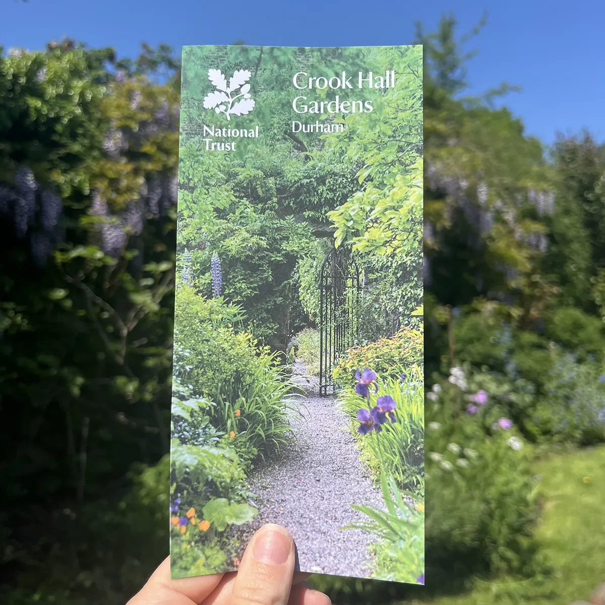 national trust crook hall leaflet design